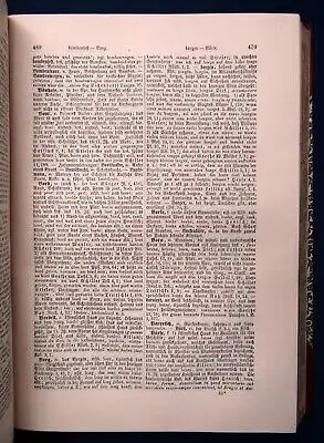 Heyne Deutsches Wörterbuch 3 Bde. komplett 1905 sehr dekorativer Einband js