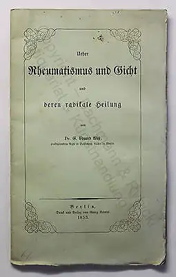 Wiß Über Rheumatismus und Gicht und deren radikale Heilung 1853 Medizin xz