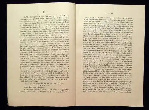Riegel Ein Fall von Stenose des Duodenum durch eine Cyste des Pankreas 1890 mb