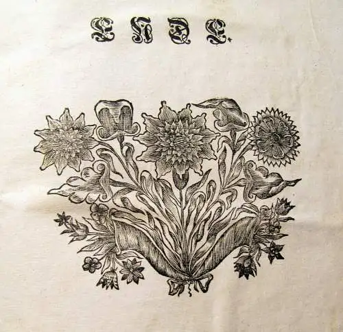 Falckenstein 1734 Antiquitates et memorabilia Nordgaviae veteris, Oder: [...] am