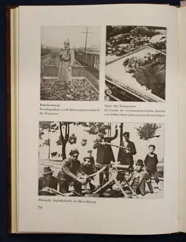 Schultz Das Gesicht der Demokratie 1931 Geschichte Halbpergament-Handeinband sf