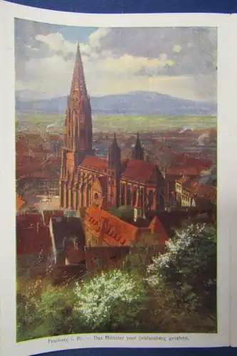Malerische Ansichten v. Freiburg i. Breisgau Leporello von 125 cm Länge js