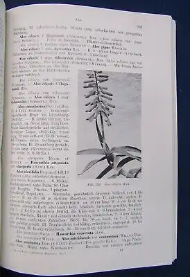 Haage Das praktische Kakteenbuch/ Freude mit Kakteen 1963, 1980 Botanik  js