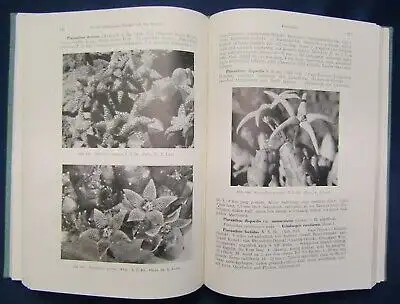 Handbuch der sukkulenten Pflanzen3 Bände 1954 Pflanzenkunde Botanik js