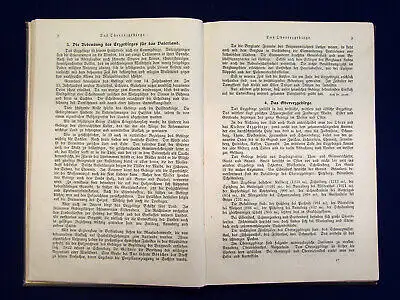 Leschner Schwarzenberg und das Obererzgebirge in Sage und Geschichte 1900 mb