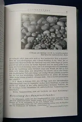 Kakteenkunde Jahrgang 1933 Heft 1- 12 Natur Wissen  Botanik Pflanzenkunde js