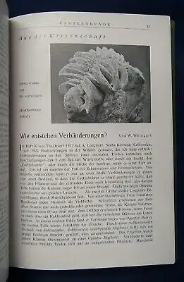 Kakteenkunde Jahrgang 1933 Heft 1- 12 Natur Wissen  Botanik Pflanzenkunde js