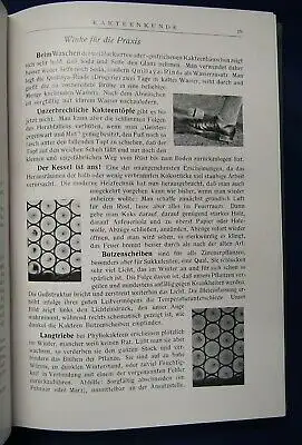 Kakteenkunde Jahrgang 1933 Heft 1- 12 Natur Wissen  Botanik Pflanzenkunde js