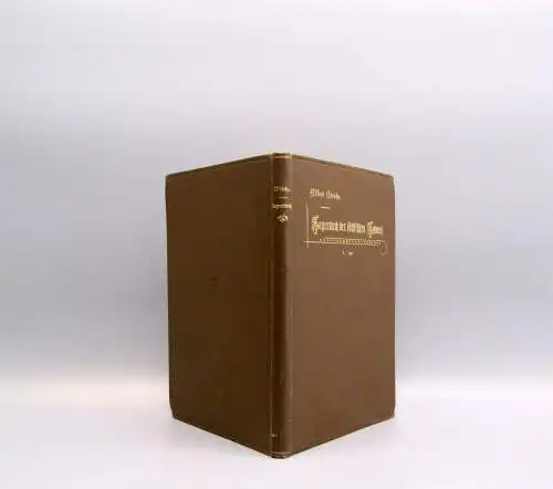 Meiche Sagenbuch der sächsischen Schweiz 1894 Erstausgabe Märchen Sagen Selten
