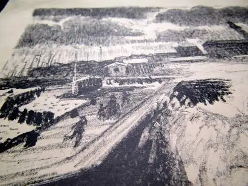 William Barring " Springflut am Meer " 1913 signiert unten r. auf Lithografie