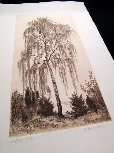 Hentschel Rudolph Hans ( 1869-1951)  Radierung "Frühlingsbirken" 1910-1920
