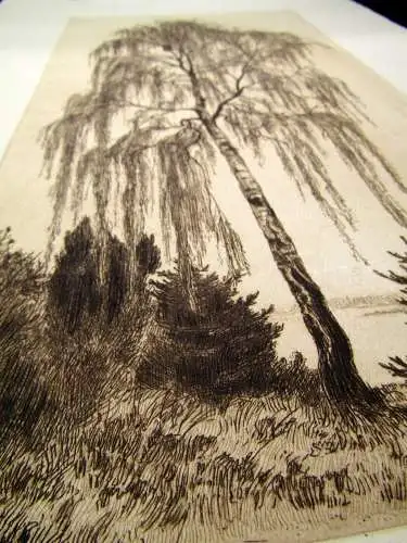 Hentschel Rudolph Hans ( 1869-1951)  Radierung "Frühlingsbirken" 1910-1920
