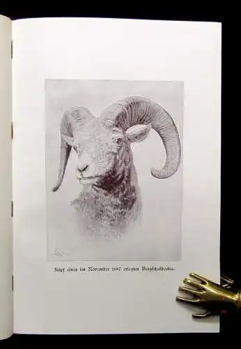 Roosevelt, Theodore Jagden in amerikanischer Wildnis 1905 Abenteuer und Reise