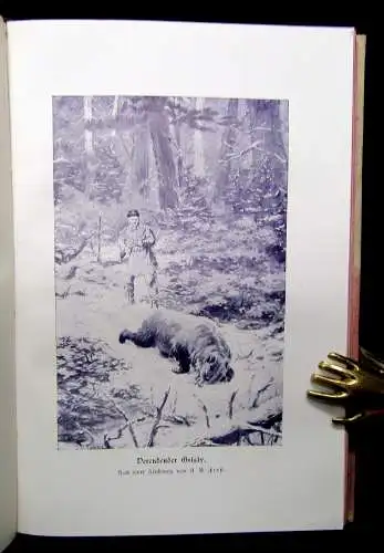 Roosevelt, Theodore Jagden in amerikanischer Wildnis 1905 Abenteuer und Reise