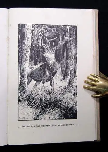 Frömbling Im Wald und auf der Heide Weidmannserzählungen aus drei Generationen