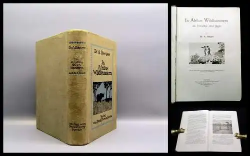 Berger In Afrikas Wildkammern als Forscher und Jäger 1910 Abenteuer Reise Sitten