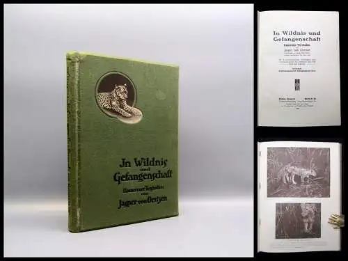 Oertzen In Wildnis und Gefangenschaft Kameruner Tierstudien 1913 Abenteuer