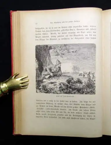 Holub Sieben Jahre in Süd-Afrika Erlebnisse, Forschungen und Jagden 1881 Reisen