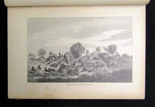 Holub Sieben Jahre in Süd-Afrika Erlebnisse, Forschungen und Jagden 1881 Reisen