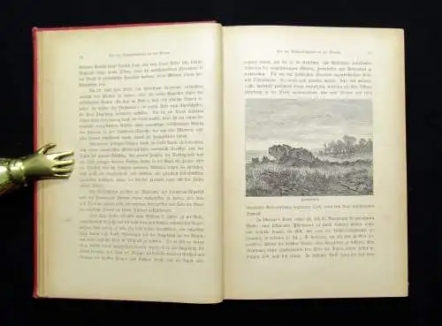 Holub Sieben Jahre in Süd-Afrika Erlebnisse, Forschungen und Jagden 1881 Reisen