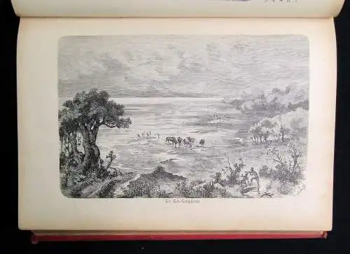 Holub Sieben Jahre in Süd-Afrika Erlebnisse, Forschungen und Jagden 1881 Reisen