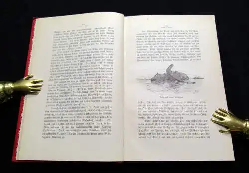 Wißmann Meine zweite Durchquerung Äquatorial- Afrikas Congo zu Zambesi  1890