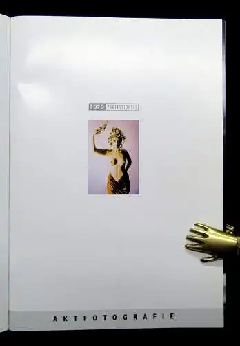Larg Hicks Bavister 4 Bücher Fotografie Aktfotografie um 2000 Erotica Erotik