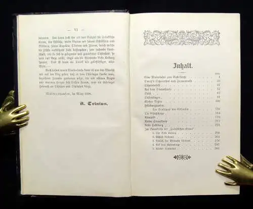 Trinius Thüringer Wanderbuch 1896 6. Bd apart Ortskunde Landeskunde Reiseführer