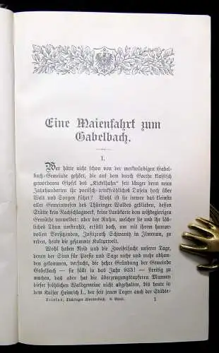 Trinius Thüringer Wanderbuch 1896 6. Bd apart Ortskunde Landeskunde Reiseführer