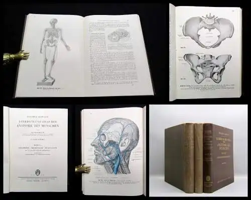 Kopsch Lehrbuch und Atlas der Anatomie des Menschen 1952 Bd. 1-3 komplett Wissen