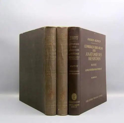 Kopsch Lehrbuch und Atlas der Anatomie des Menschen 1952 Bd. 1-3 komplett Wissen