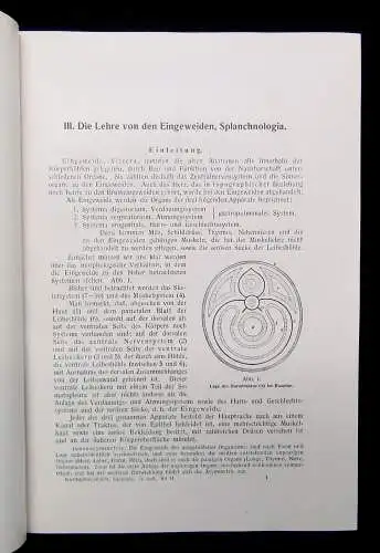 Kopsch Lehrbuch und Atlas der Anatomie des Menschen 1952 Bd. 1-3 komplett Wissen