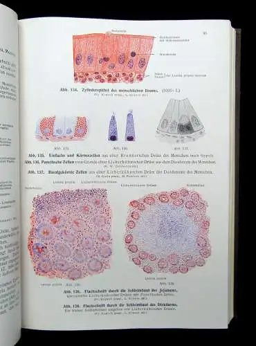 Kopsch Lehrbuch und Atlas der Anatomie des Menschen 1952 Bd. 1-3 komplett Wissen