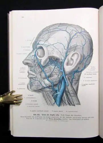 Kopsch Lehrbuch und Atlas der Anatomie des Menschen 1952 Bd. 1-3 komplett Wissen