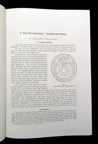 Kopsch Lehrbuch und Atlas der Anatomie des Menschen 1952 Bd. 1-3 komplett Wissen