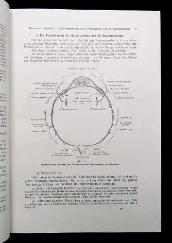 Kopsch Lehrbuch und Atlas der Anatomie des Menschen 1952 Bd. 1-3 komplett Wissen