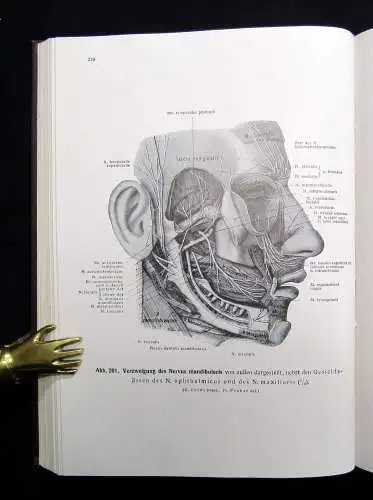 Kopsch Lehrbuch und Atlas der Anatomie des Menschen 1952 Bd. 1-3 komplett Wissen
