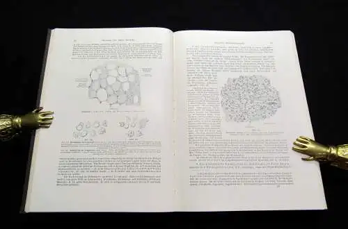 Kopsch Lehrbuch und Atlas der Anatomie des Menschen 1952 Bd. 1-3 komplett Wissen