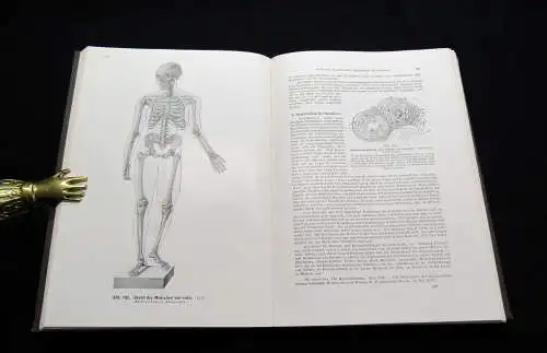 Kopsch Lehrbuch und Atlas der Anatomie des Menschen 1952 Bd. 1-3 komplett Wissen
