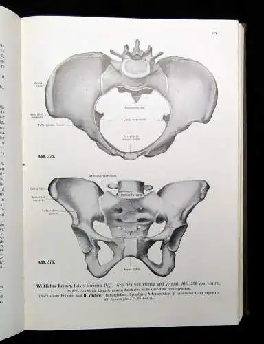 Kopsch Lehrbuch und Atlas der Anatomie des Menschen 1952 Bd. 1-3 komplett Wissen