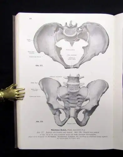 Kopsch Lehrbuch und Atlas der Anatomie des Menschen 1952 Bd. 1-3 komplett Wissen