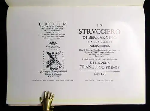 Ceresoli Bibliografia 1969 Mammologia Ornitologia Ittiologia ed Erpetologia