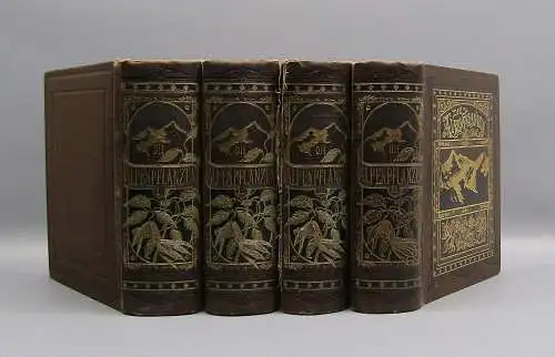 Petrasch Die Alpenpflanzen 4 Bde. komplett 1879 ca.400 lithogr. Tafeln 1879,84