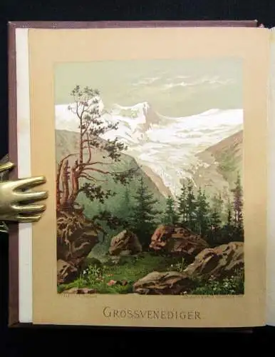 Petrasch Die Alpenpflanzen 4 Bde. komplett 1879 ca.400 lithogr. Tafeln 1879,84