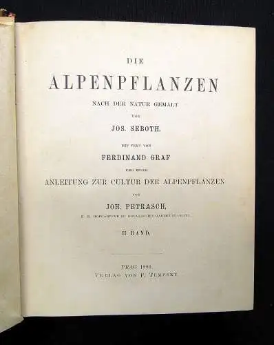 Petrasch Die Alpenpflanzen 4 Bde. komplett 1879 ca.400 lithogr. Tafeln 1879,84