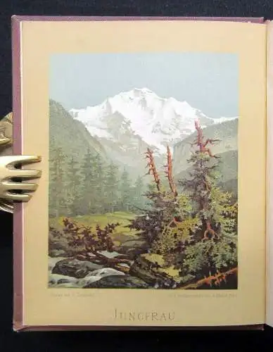 Petrasch Die Alpenpflanzen 4 Bde. komplett 1879 ca.400 lithogr. Tafeln 1879,84