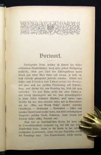 Trinius Thüringer Wanderbuch 7. Bd apart um 1900 Landeskunde Ortskunde Guide
