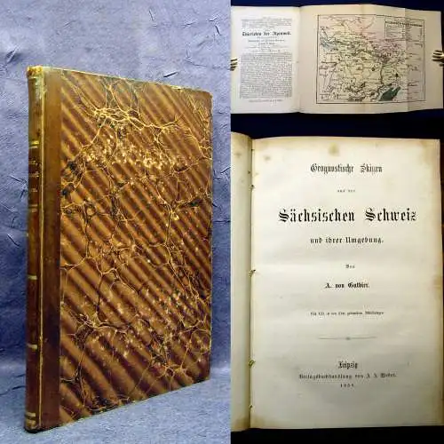 Gutbier Geognostische Skizzen aus der sächsischen Schweiz 1858 Selten mb