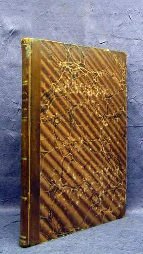 Gutbier Geognostische Skizzen aus der sächsischen Schweiz 1858 Selten mb