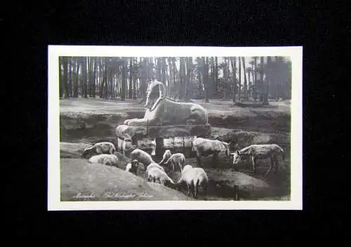 10 Karten, Postkarten in Original-Hülle "Lehnert & Landrock" Memphis und Sakkara